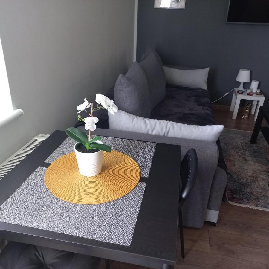 Apartament Plater Apartment Pruszcz Gdanski Ngoại thất bức ảnh