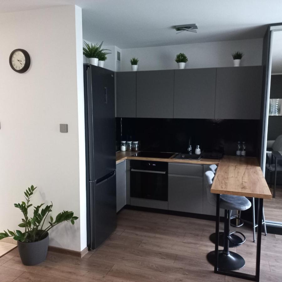 Apartament Plater Apartment Pruszcz Gdanski Ngoại thất bức ảnh
